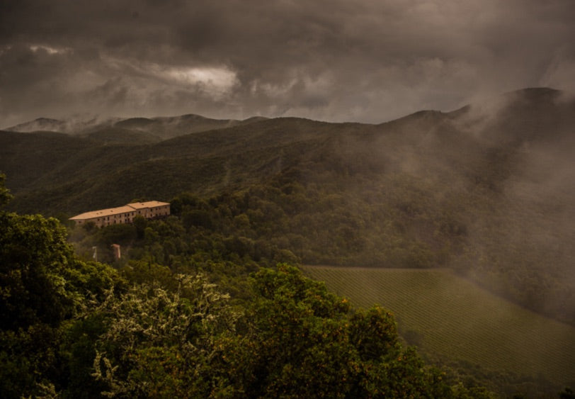 Tenuta San Guido