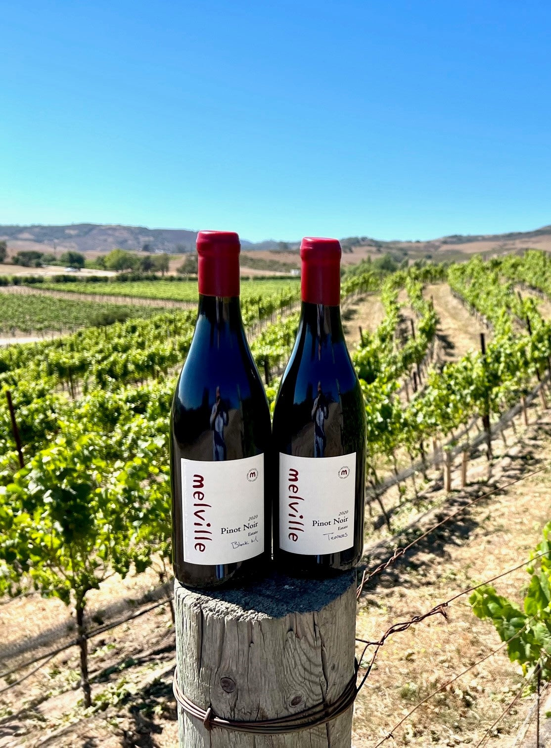 Melville Winery